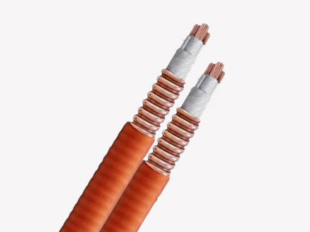 起技线缆为您解答，BTTZ是什么电缆的型号？